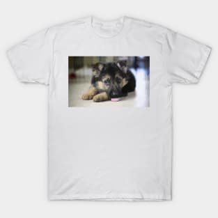 German Shepherd Puppy Digital Painting T-Shirt